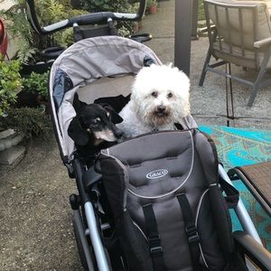 Meet your Posher, Sydney